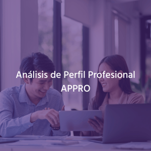 Analista de Perfil Profesional