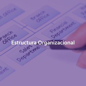 Estructura Organizacional